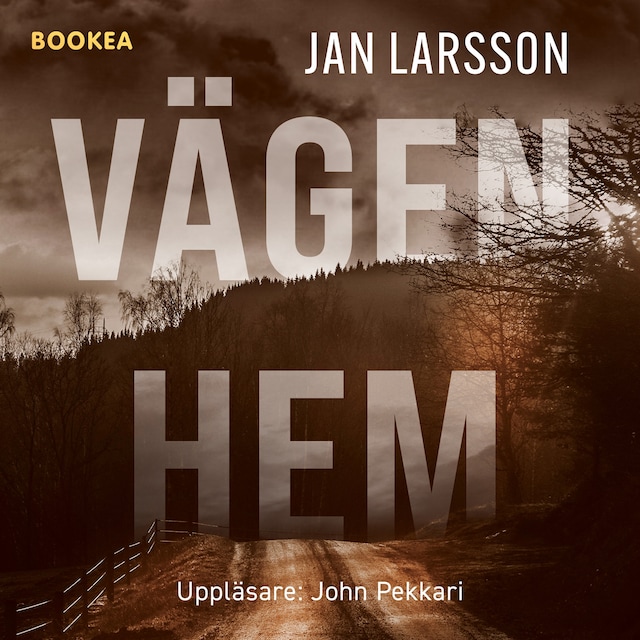 Book cover for Vägen hem