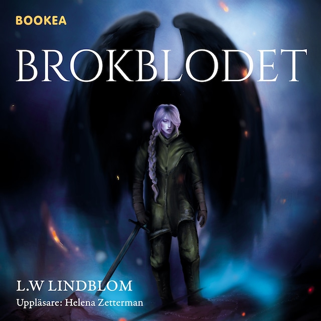 Copertina del libro per Brokblodet