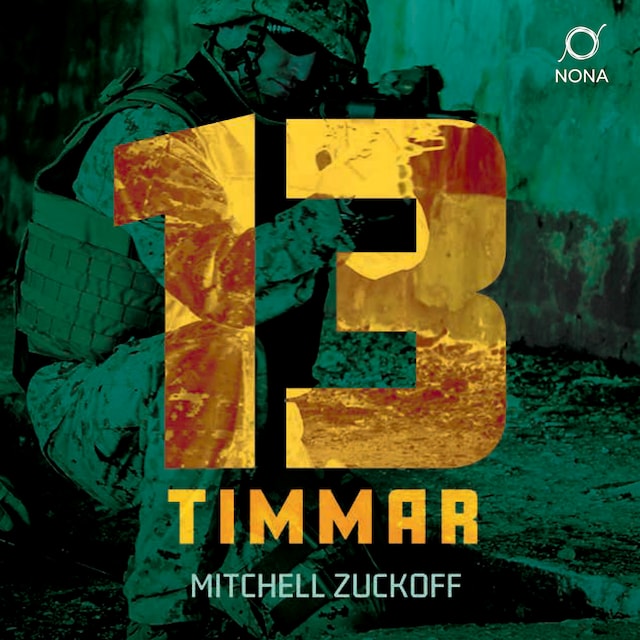 Book cover for 13 timmar