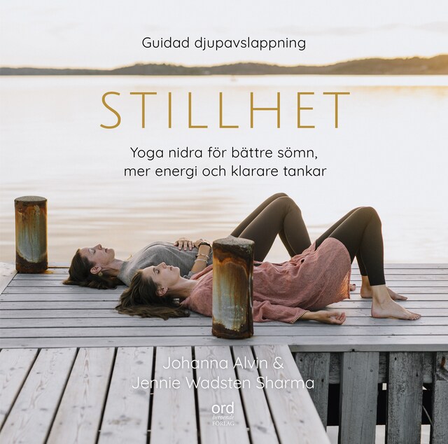 Book cover for Stillhet