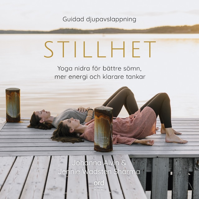 Book cover for Yoga nidra för energi