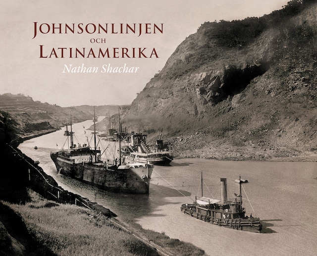 Boekomslag van Johnsonlinjen och Latinamerika