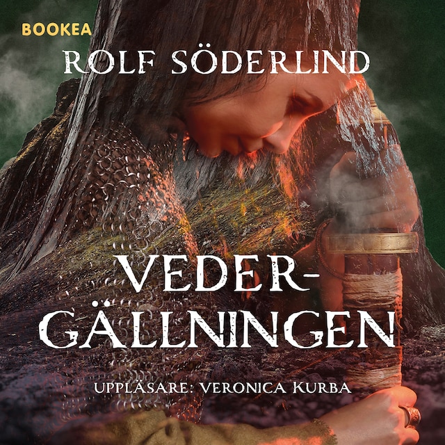 Book cover for Vedergällningen