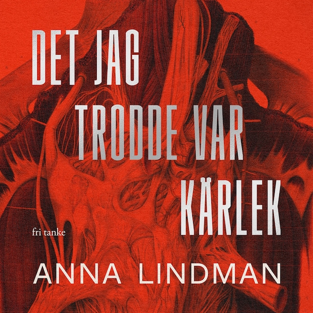 Book cover for Det jag trodde var kärlek: En bok en om psykiskt våld