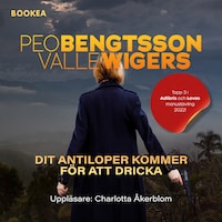 Dit antiloper kommer för att dricka