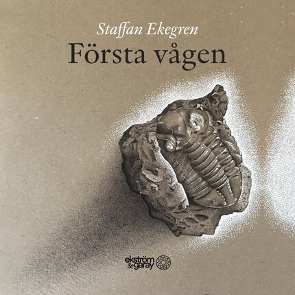 Första vågen bookCoverFor
