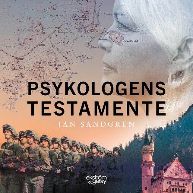 Book cover for Psykologens testamente