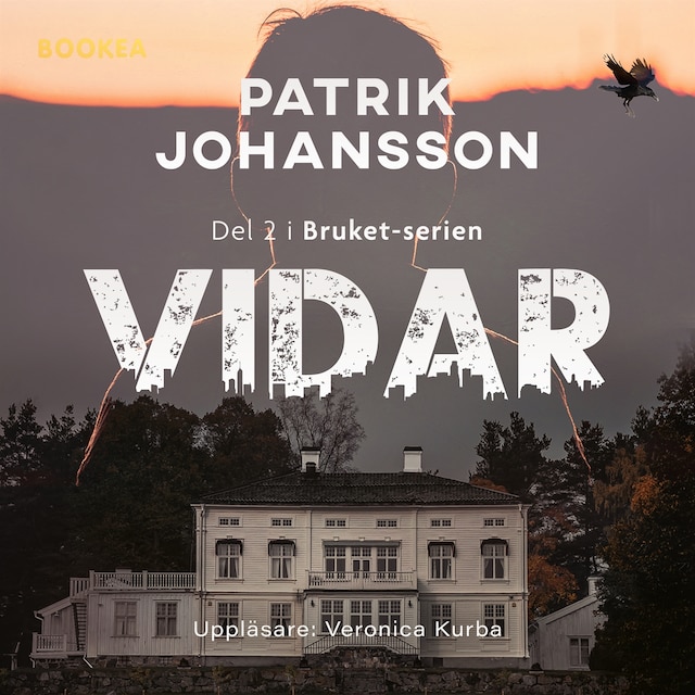 Book cover for Vidar
