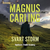 Svart storm