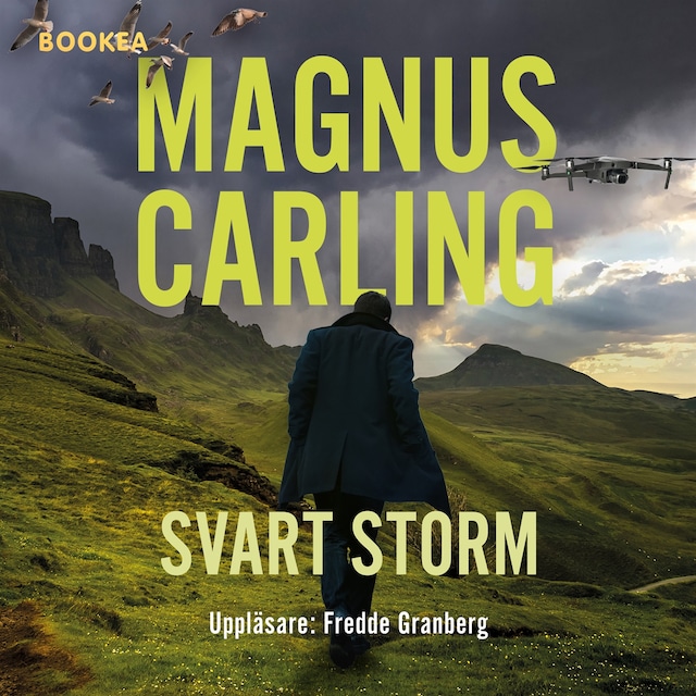 Book cover for Svart storm