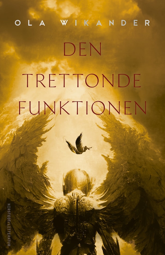 Buchcover für Den trettonde funktion