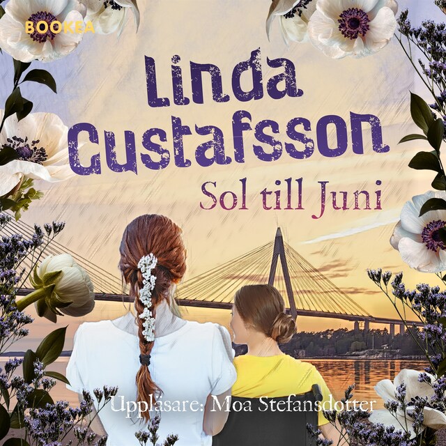 Book cover for Sol till Juni