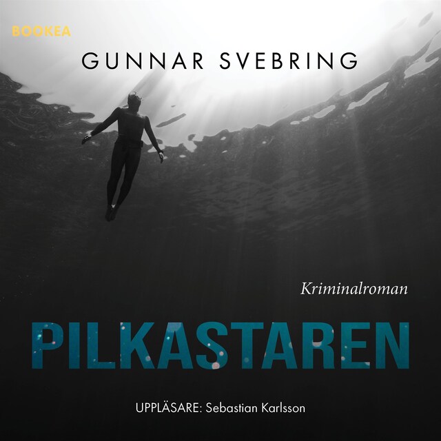 Book cover for Pilkastaren