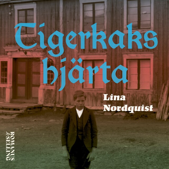 Book cover for Tigerkakshjärta