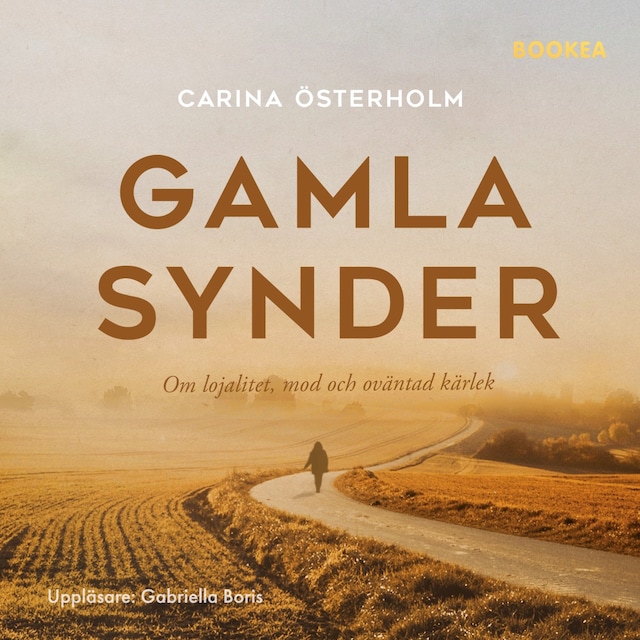 Copertina del libro per Gamla synder