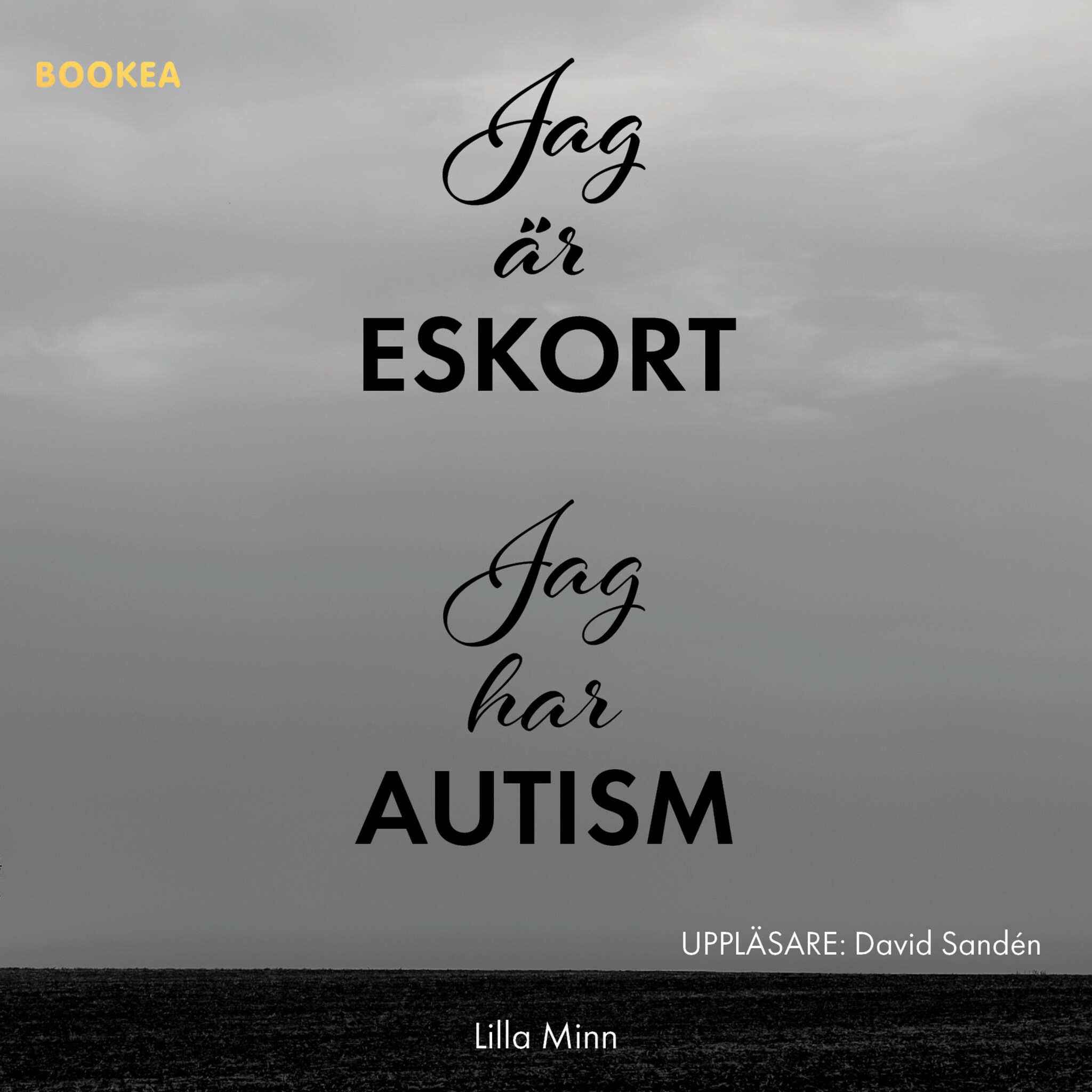Jag är eskort, jag har autism