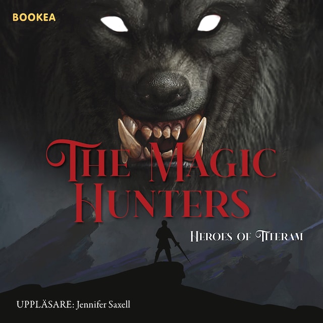 Boekomslag van The magic hunters