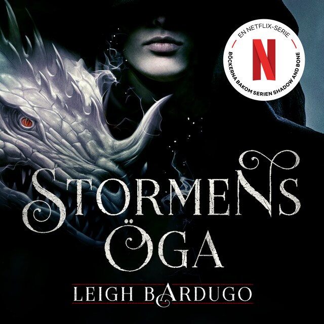 Book cover for Stormens öga