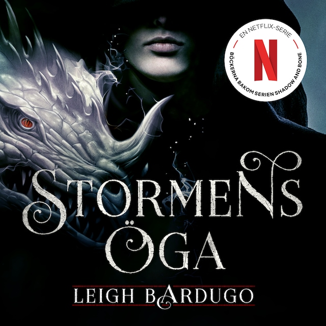 Copertina del libro per Stormens öga