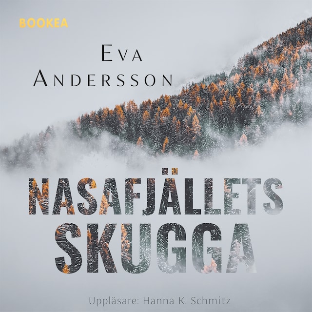Book cover for Nasafjällets skugga