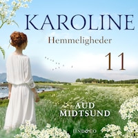 Hemmeligheder