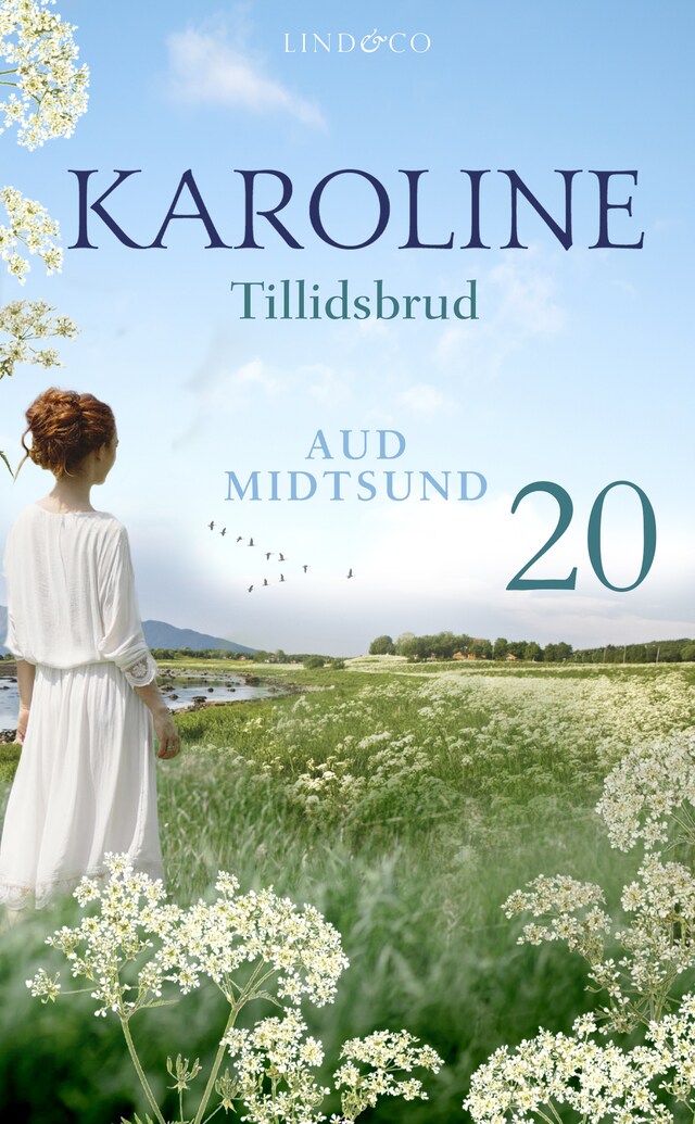 Book cover for Tillidsbrud