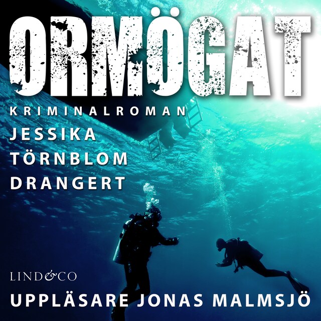 Book cover for Ormögat