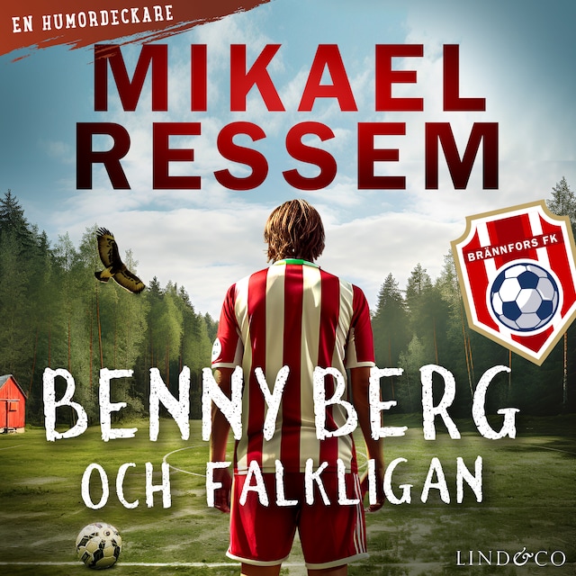 Couverture de livre pour Benny Berg och Falkligan