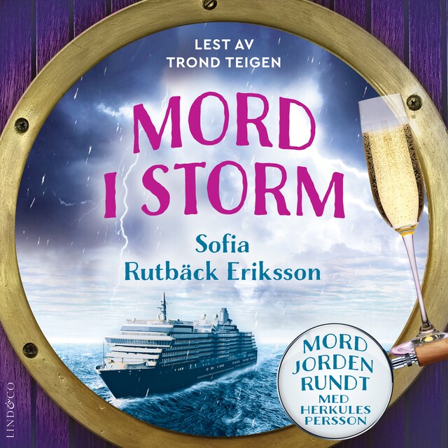 Book cover for Mord i storm