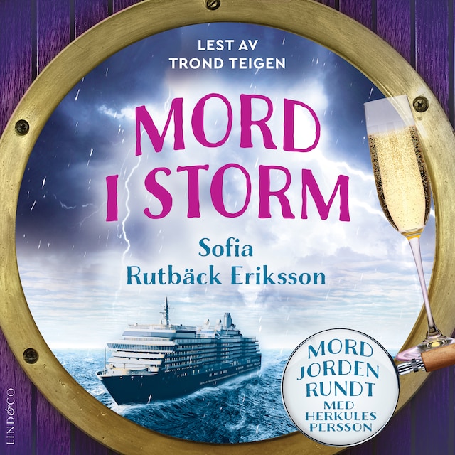 Book cover for Mord i storm