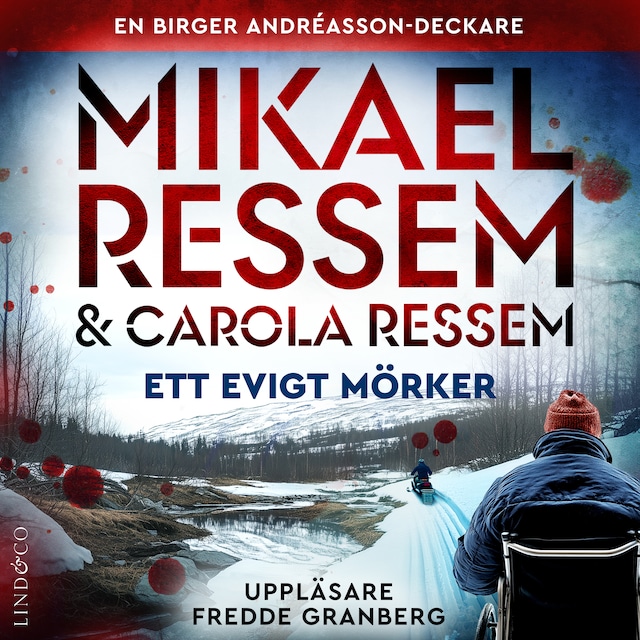 Couverture de livre pour Ett evigt mörker