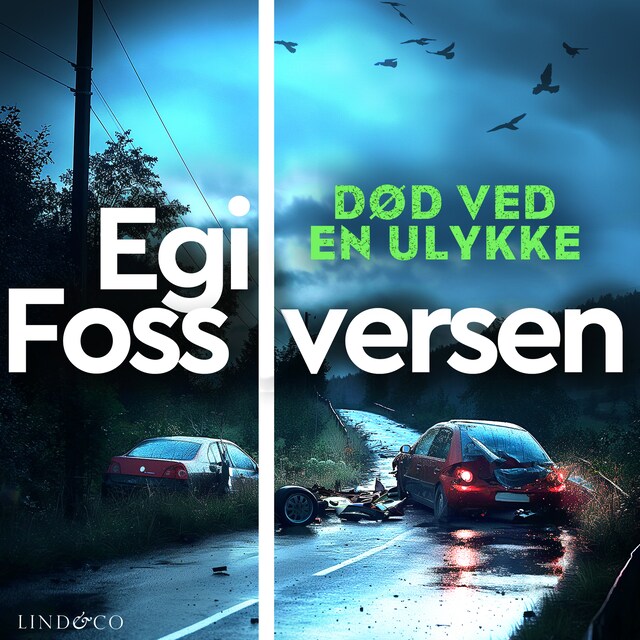 Portada de libro para Død ved en ulykke