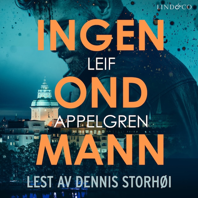 Book cover for Ingen ond mann