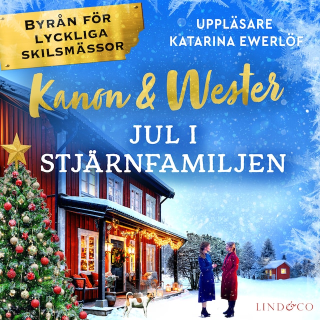 Book cover for Jul i stjärnfamiljen