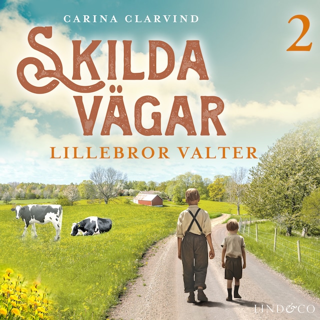 Book cover for Lillebror Valter
