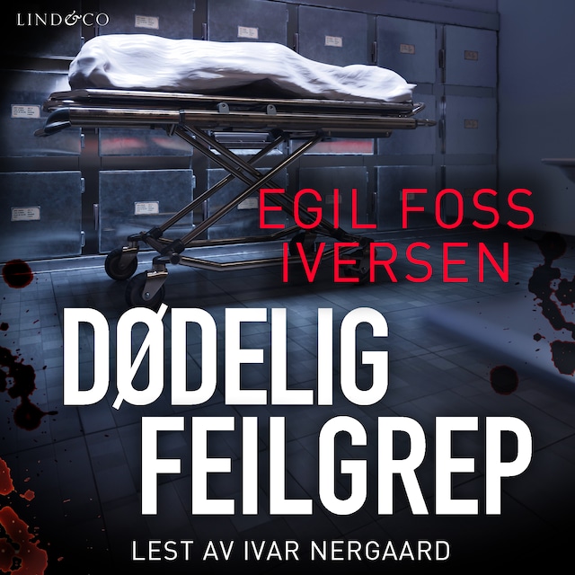 Book cover for Dødelig feilgrep