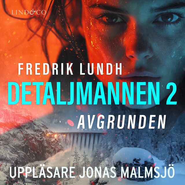 Book cover for Detaljmannen 2: Avgrunden