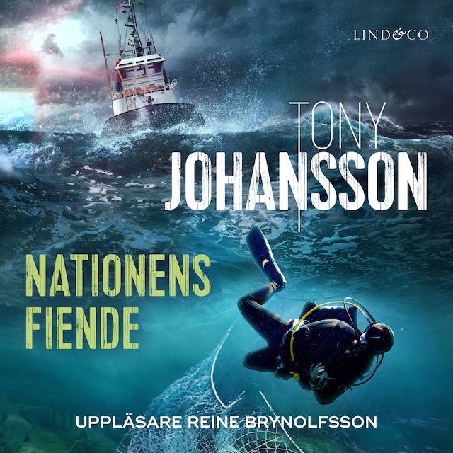 Book cover for Nationens fiende