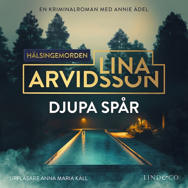 Book cover for Djupa spår