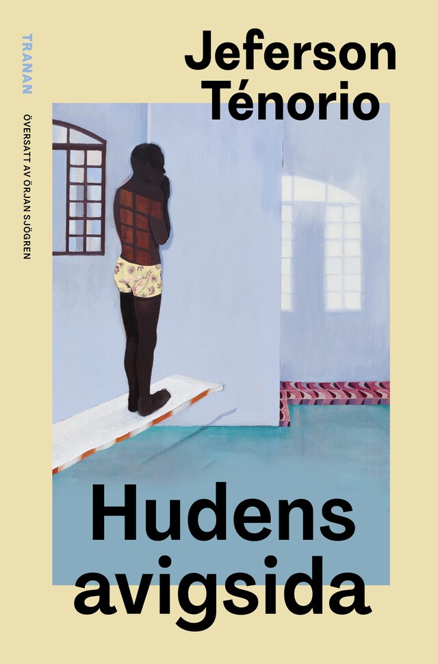 Book cover for Hudens avigsida