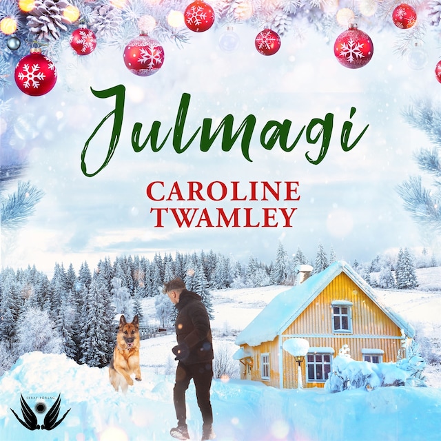 Kirjankansi teokselle Julmagi