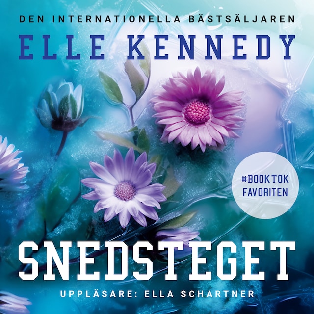 Buchcover für Snedsteget