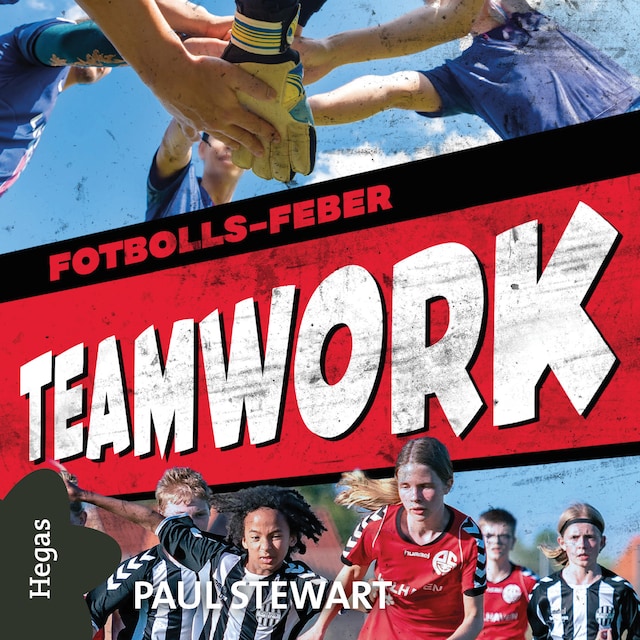 Copertina del libro per Teamwork