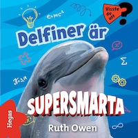 Delfiner är supersmarta