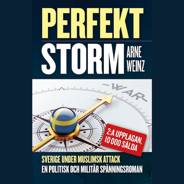 Bokomslag för Perfekt storm