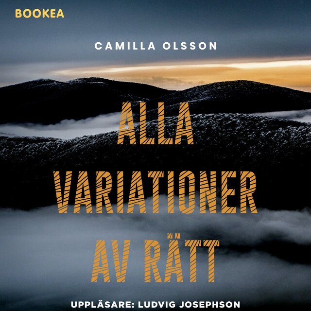 Book cover for Alla variationer av rätt