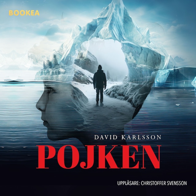 Book cover for Pojken