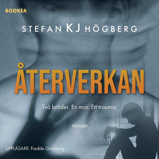 Book cover for Återverkan