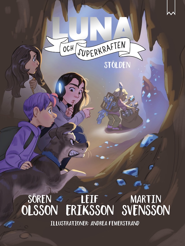 Couverture de livre pour Stölden