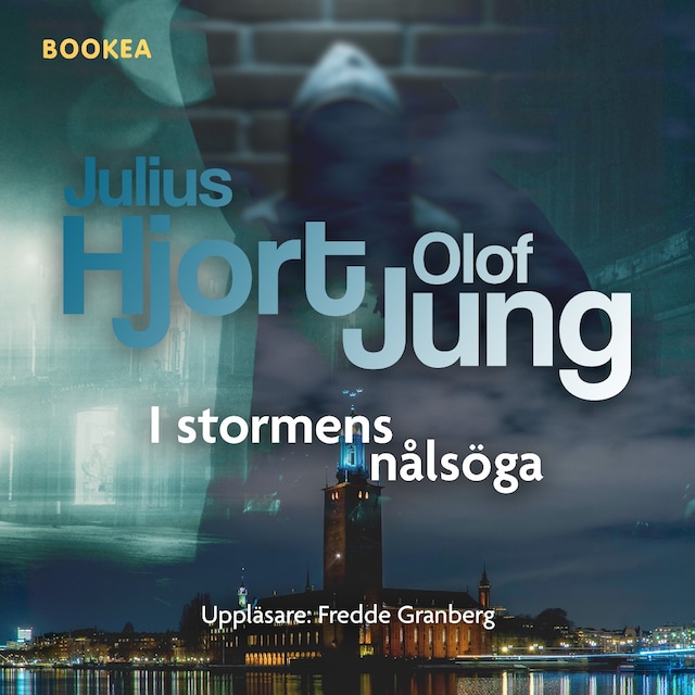 Book cover for I stormens nålsöga
